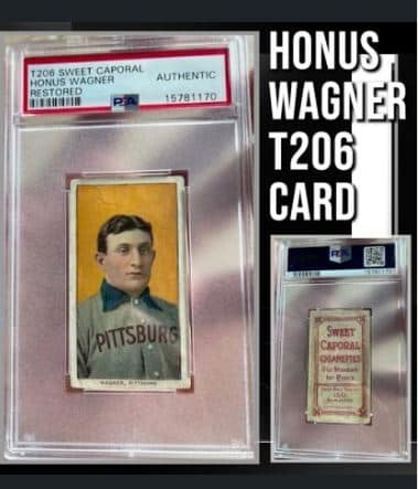 wagnert206