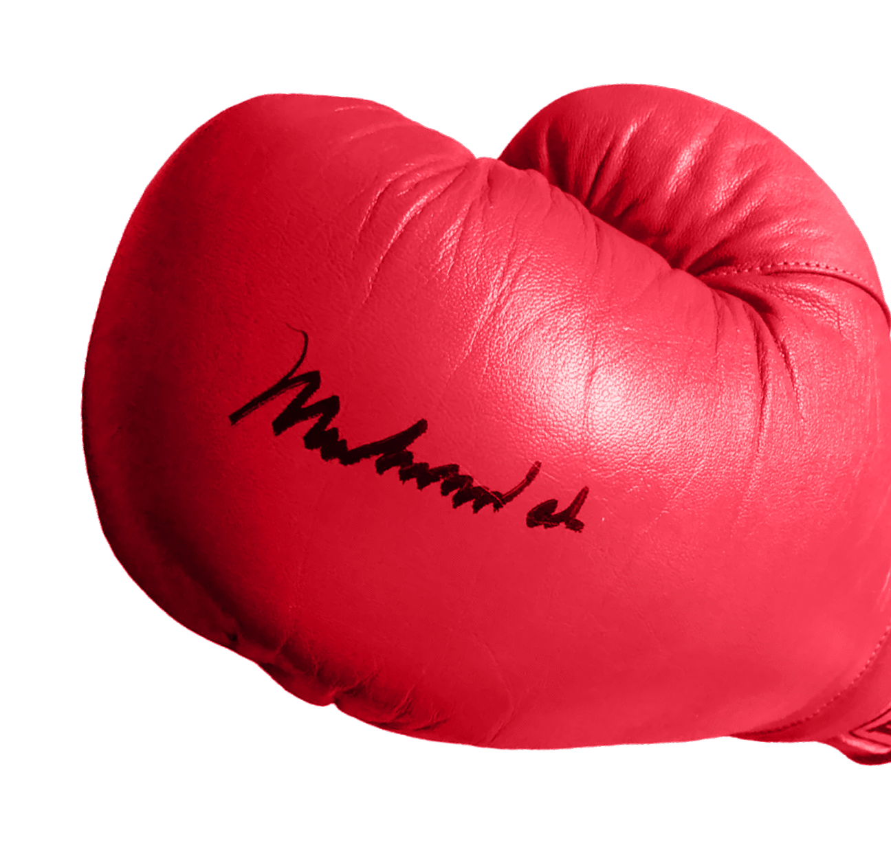 Muhammad Glove